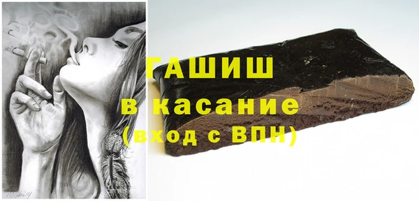 индика Снежногорск