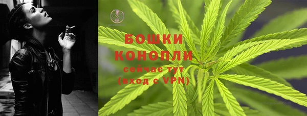 бошки Аркадак