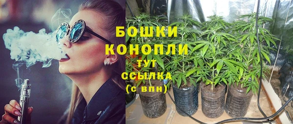 бошки Аркадак