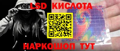 шишки Тверь