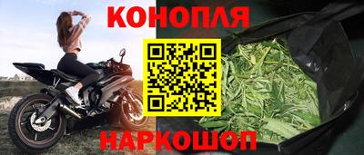 шишки Тверь