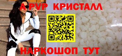 шишки Тверь