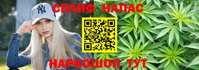 шишки Тверь