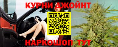 шишки Тверь