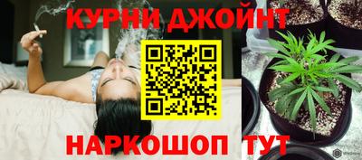 шишки Тверь