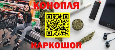 шишки Тверь