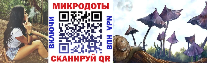 kraken как зайти  Барабинск  Галлюциногенные грибы мицелий 