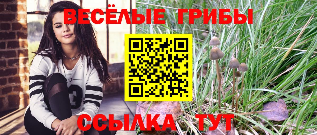 Псилоцибиновые грибы MAGIC MUSHROOMS  Вход с VPN  Барабинск 